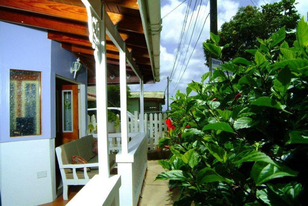 Tropical Breeze Vacation Home And Apartments Gros Islet Dış mekan fotoğraf